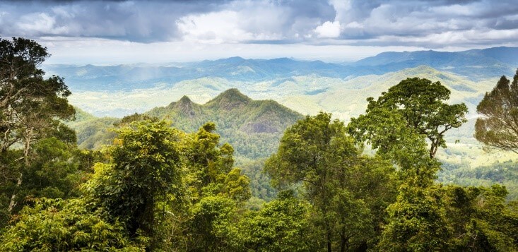 Explore The Gold Coast Hinterland - Gold Coast