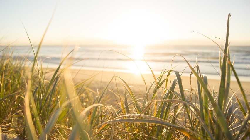 Everything You Need to Know About the Gold Coast - Gold Coast